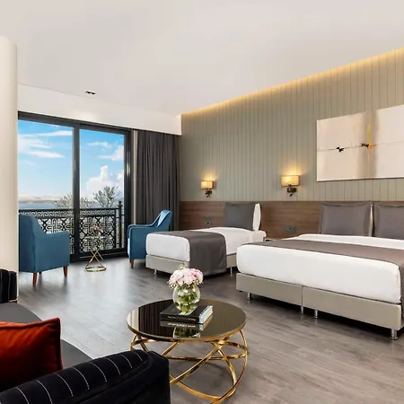 Ezkar Bathonea Art Hotel Estambul