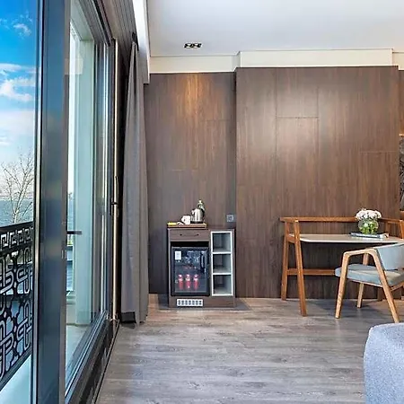 Ezkar Bathonea Art Hotel Istanbul