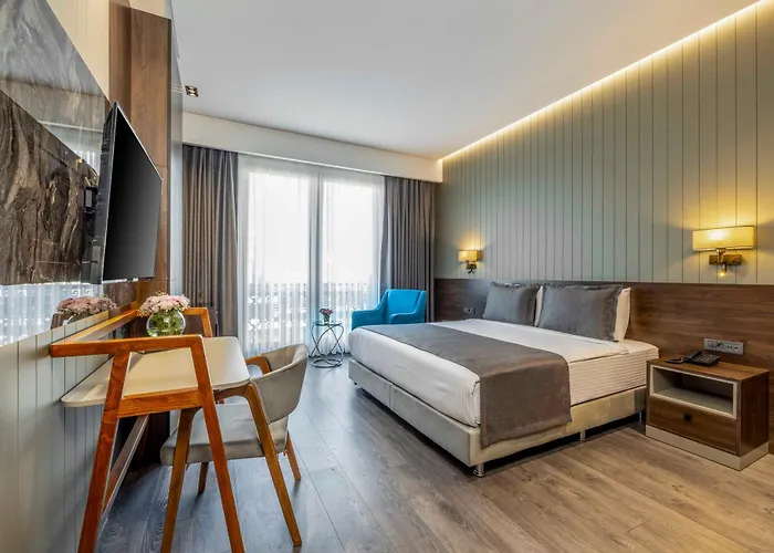 酒店 Ezkar Bathonea Art 伊斯坦布尔