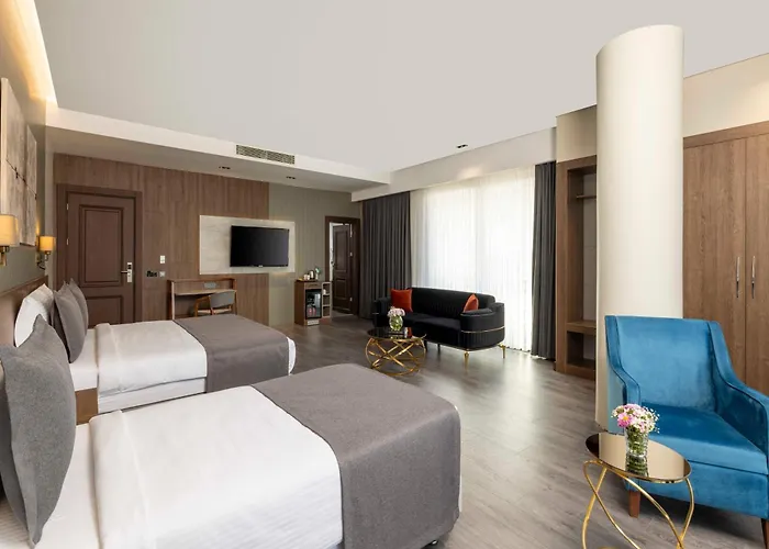 Ezkar Bathonea Art 4* 伊斯坦布尔