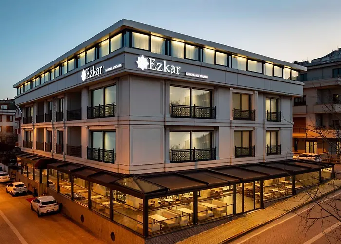 Ezkar Bathonea Art 酒店 伊斯坦布尔