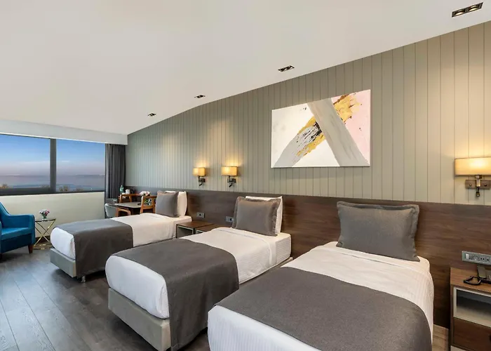 Отель Ezkar Bathonea Art Стамбул